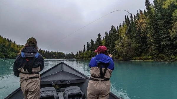 Fresh salmon catch from an Alaska fishing trip